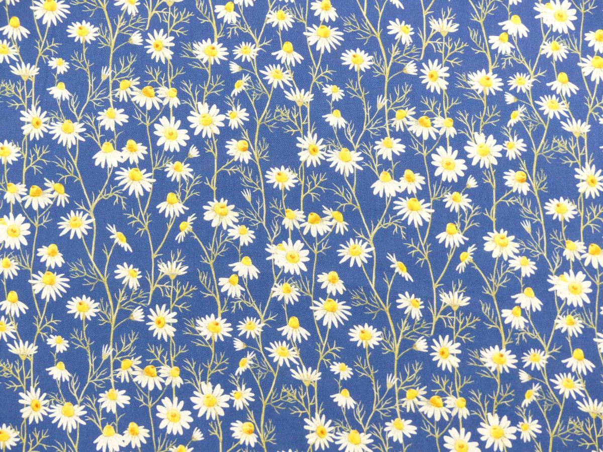 Hedgehog Hollow Blumen Gänseblümchen Daisies blau von In the Beginning